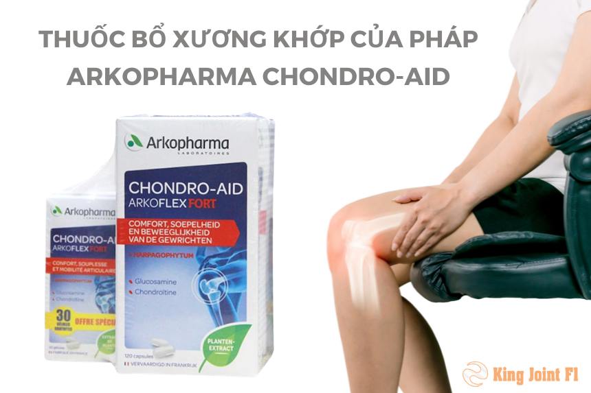 Thuốc bổ xương khớp của PHÁP Arkopharma Chondro-Aid